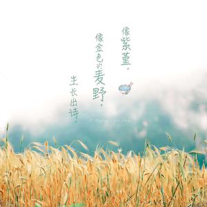 各种乳房走光无删减
